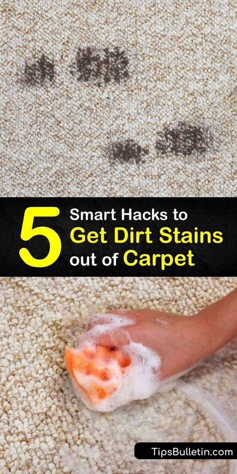 Stains Out Of Carpet, Homemade Carpet Cleaner, Carpet Spot Cleaner, Homemade Stain Removers, Cleaning With Peroxide, Diy Stain Remover, Carpet And Upholstery Cleaner, Smart Hacks, Clean Carpet