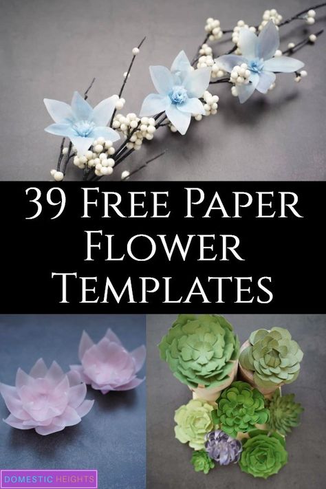 Free Paper Flower Templates, Paper Flower Templates, Paper Flower Centerpieces, Paper Flower Patterns, Paper Sunflowers, Fleurs Diy, Easy Paper Flowers, Paper Flower Crafts, Paper Flower Template