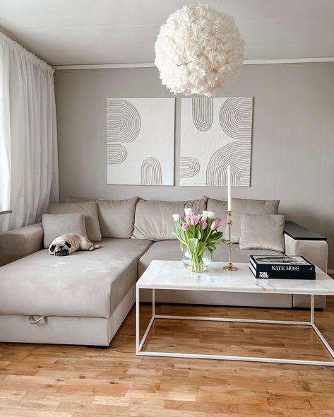 Hall Room, Cozy Sofa, Beige Sofa, Velvet Sofa, Cozy Living Rooms, Bedroom Sofa, Interior Inspo, Cute Dog, Couch Bed