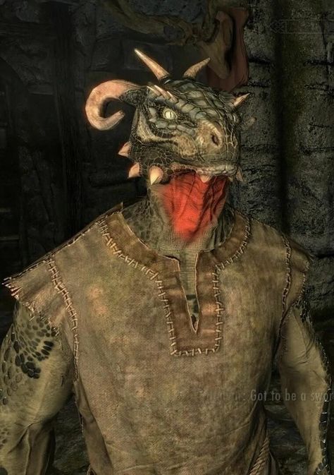 Skyrim Argonian, Skyrim Races, Elder Scrolls Art, Bird People, Elder Scrolls V Skyrim, Elder Scrolls Online, The Elder Scrolls, Elder Scrolls, Skyrim