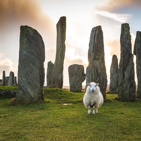 Scottish Wedding Themes, Best Of Scotland, Isle Of Lewis, Scotland Forever, Standing Stones, Good Photo, Outer Hebrides, Standing Stone, Scotland Highlands