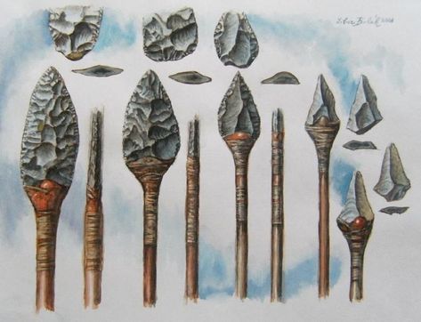 Mousterian Neanderthal spear heads, such spear points have been found in  Germany by Libor Balák. Indian ArtifactsSeptember 2014Stone Age ... Prehistoric People, Stone Age Tools, Native American Tools, History Questions, Arrowheads Artifacts, Spear Head, Ancient Tools, Primitive Survival, Norfolk England