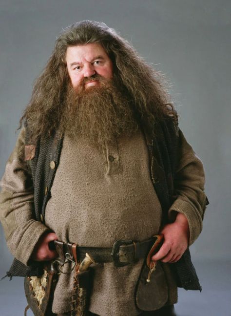 Hagrid Costume, Beard Halloween Costumes, Halloween Beard, Robbie Coltrane, Rubeus Hagrid, The Prisoner Of Azkaban, Scottish Actors, Harry Potter Actors, Prisoner Of Azkaban