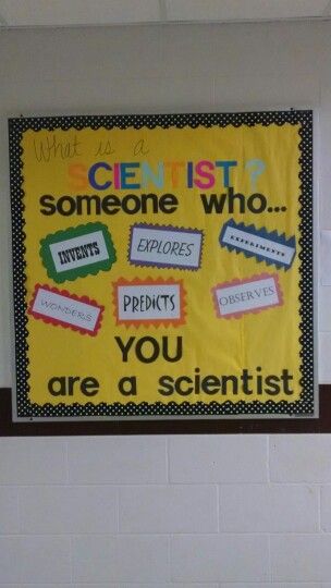 Mid year science bulletin board Science Sayings For Bulletin Boards, Science Classroom Decorations Highschool, Science Bulletin Board Ideas, Science Class Decorations, August Bulletin Boards, Science Bulletin Board, High School Bulletin Boards, Grade 3 Science, Science Display