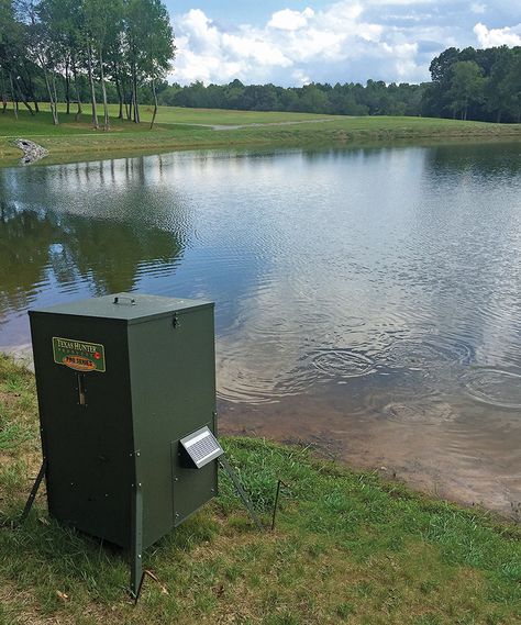 Every fish in your lake or pond will benefit from the addition of a food source. Check out our #topfive reasons to consider adding an automatic fish feeder with Fisheries and Wildlife Biologist, Aaron Cushing: http://www.solitudelakemanagement.com/blog/benefits-of-feeding-fish-automatic-fish-feeders #FisheriesManagement Fish Feeders, Automatic Fish Feeder, Fish Feeder, Wildlife Biologist, Fish Feed, Fish Farming, Going Fishing, Food Source, A Food