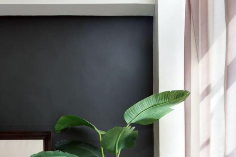 Dark Wall Paint, Dark Painted Walls, Small Room Paint, Dark Walls Living Room, Painted Feature Wall, Black Painted Walls, Dark Accent Walls, Dark Grey Rooms, Black Feature Wall