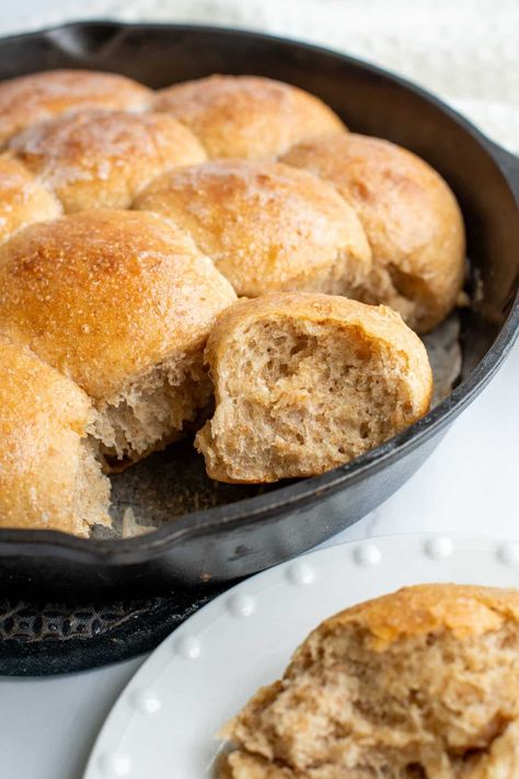 Soft and fluffy honey whole wheat sourdough dinner rolls are delicious for a family dinner table. With a combination of whole wheat and bread flour you get the best flavor and texture in these rolls. Brush with honey butter and enjoy warm! Honey Wheat Sourdough Bread, Fluffy Whole Wheat Bread, Wheat Sourdough Bread Recipe, Whole Wheat Sourdough Bread, Wheat Sourdough Bread, Sourdough Dinner, Sourdough Dinner Rolls, Whole Wheat Rolls, Bread Proofer