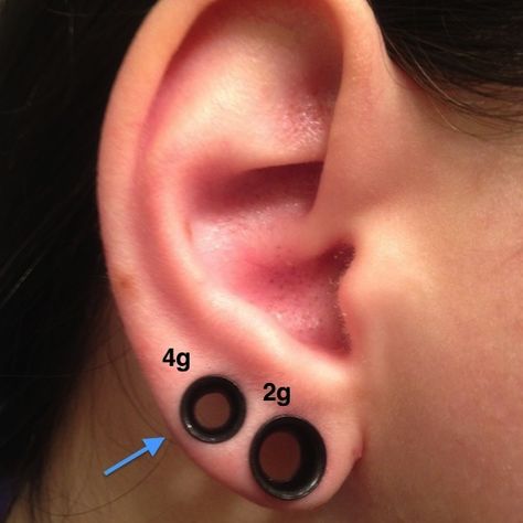 Double Gage Ears, Tunnel Piercing Men, Ear Tunnels Men, Double Zero Gauges Ears, Double Stretched Ears, Ear Piercings For Men, Small Gages, Small Stretched Ears, Ear Guages