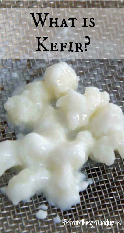 What is Kefir? - lifefromthegroundup.us What Is Kefir, Probiotic Recipes, Kefir Starter, Kefir Drink, Fermenting Foods, Kefir Benefits, Milk Kefir Grains, Mother Culture, Kefir Recipes