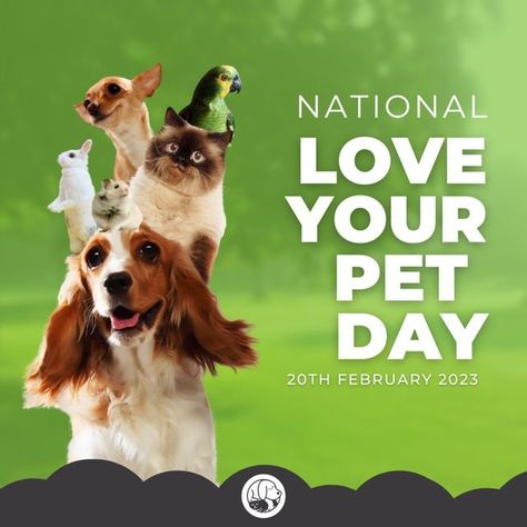 Matraville Veterinary Practice on Instagram: "We don’t need a holiday to remind us to love our pets because that’s EVERY day! Happy National Love Your Pet Day! 💚" National Love Your Pet Day, Love Your Pet Day, Pet Day, Love Your Pet, Your Pet, A Holiday, Love Your, Our Love, Every Day