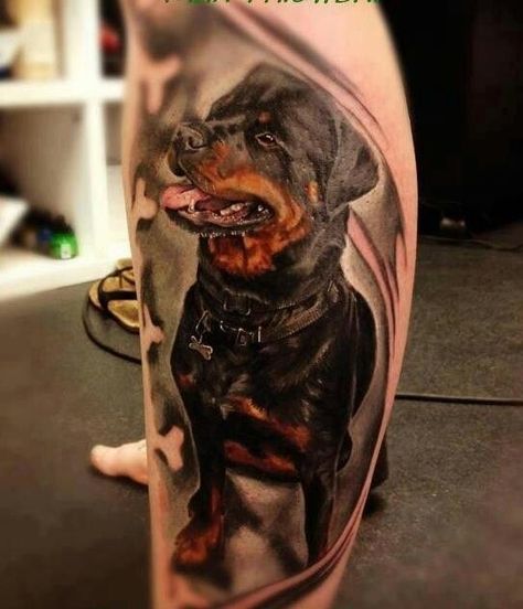 The 35+ Best Rottweiler Tattoo Designs In The World – The Paws Rottweiler Pictures, Rottweiler Tattoo, Tatoo 3d, Dog Memorial Tattoos, Rottweiler Love, Theme Tattoo, Memorial Tattoo, Rottweiler Puppies, Memorial Tattoos