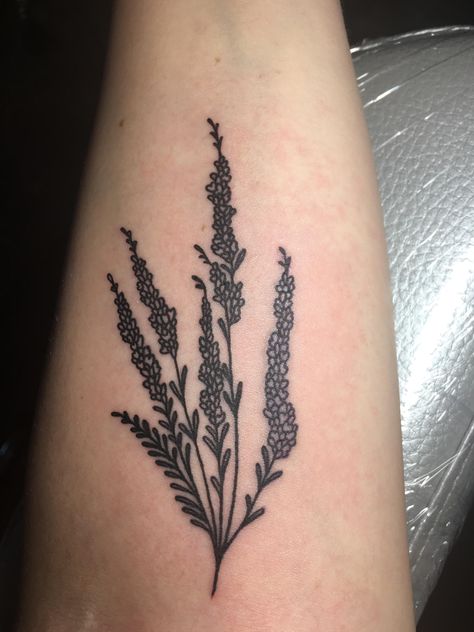 Heather Plant Tattoo, Heather Tattoo Flower, Heather Scotland, Heather Tattoos, Heathers Tattoo, Heather Flower Tattoo, Heather Tattoo, Appearance Goals, Rad Tattoos