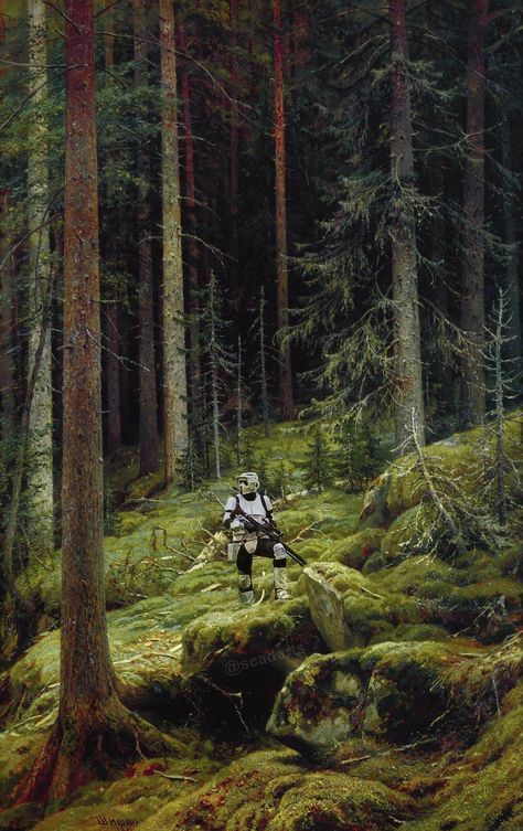 Star Wars Wallpaper Stormtrooper, Endor Star Wars Aesthetic, Star Wars Wallpaper Iphone Aesthetic, Star Wars Aesthetic Wallpaper Iphone, Stormtrooper Aesthetic, Stormtrooper Wallpapers, Star Wars Landscapes, Star Wars Nature, Star Wars Backgrounds