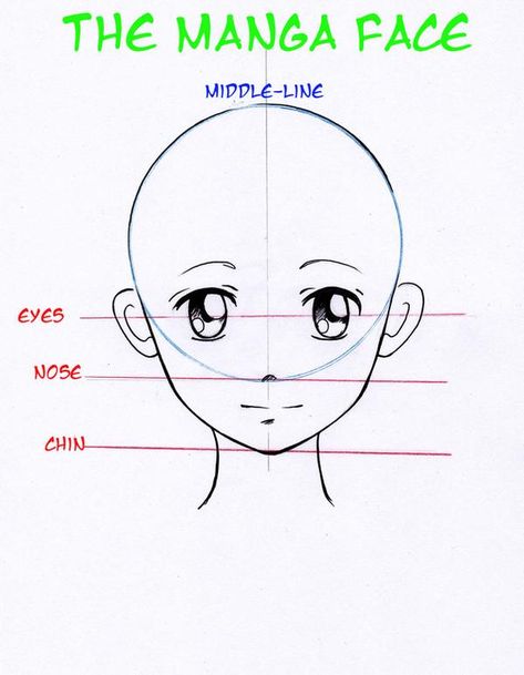 Manga basic head by Nevaart on DeviantArt Manga Face, Face Proportions, Draw Faces, Beauty Drawings, Anime Show, Manga Tutorial, 얼굴 드로잉, Drawing Tutorials For Beginners, Easy Drawing Tutorial