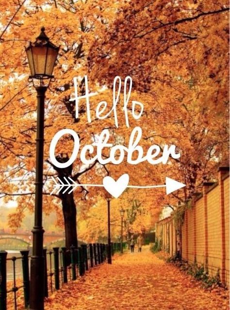 Hello October Images, October Images, October Pictures, Hello September, Hello October, Guy Fawkes, Happy October, Bonfire Night, Days Until Christmas