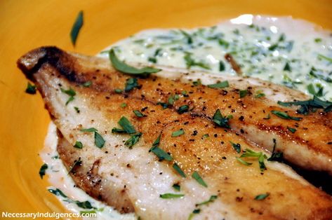 Pompano with Tarragon Cream Sauce Pompano Fish Recipe, Fish With Cream Sauce, Pompano Recipe, Tarragon Cream Sauce, Tarragon Recipes, Shellfish Recipes, Beef Tips, Sea Food, Quick Healthy