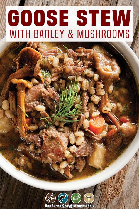 Snow Goose Recipes, Geese Recipes, Goose Stew, Stew With Barley, Wrangel Island, Stew With Mushrooms, Goose Recipes, Snow Geese, Low Carb Soup Recipes