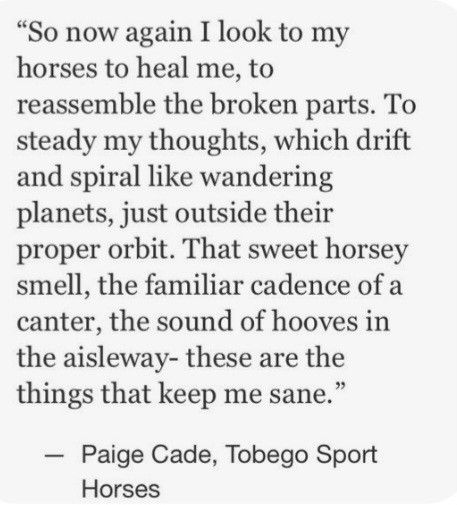 Best Horse Quotes, Good Horse Quotes, Poems About Horses, Equine Therapy Quotes, Ranching Aesthetic, Horse Quotes Meaningful, Horse Poetry, Quotes About Horses, Equestrian Motivation