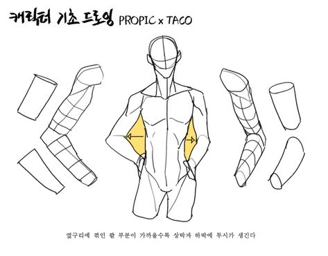 The closer the bent arm is to the side, the more visible there is a bend on the forearm. Anatomy Tutorial, Human Anatomy Drawing, Anatomy Sketches, Body Reference Drawing, 캐릭터 드로잉, Body Anatomy, Poses References, Anatomy Drawing, Figure Drawing Reference