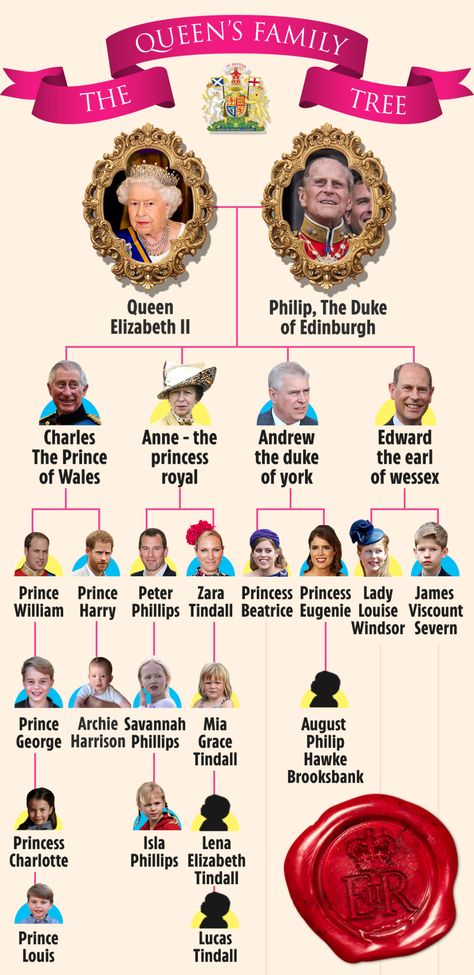 Princess Beatrice reveals she’s PREGNANT on Harry & Meghan’s anniversary – 3 years after announcement at Eugenie wedding British Royal Family Tree, Heavily Pregnant, Royal Family Trees, Line Of Succession, Rainha Elizabeth Ii, Mike Tindall, Baby News, Lady Louise Windsor, Elisabeth Ii