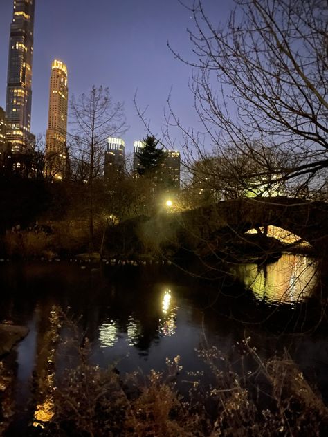 New York Park Aesthetic, Central Park Aesthetic Night, Park At Night Aesthetic, Park Aesthetic Night, Central Park Night, Central Park At Night, Rat People, New York Facts, Central Park Aesthetic