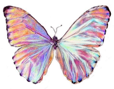 Pink Butterfly Drawing, Shiny Butterfly, Iridescent Butterfly, Pencil Inspiration, Butterfly Cutout, Decoupage Tissue Paper, Butterfly Art Print, Butterfly Poster, Morpho Butterfly