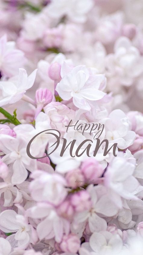 Celebrating the vibrant festival of Onam with joy, love, and togetherness! 🌸🌼 May this season bring prosperity and happiness to all. 🏵️🌿 Let's cherish the traditions and spread the festive cheer! ✨💫 #HappyOnam #OnamCelebration #UnityInDiversity #FestiveVibes #Onam2024 #HarvestFestival #sonalmaniarposts Onam Kerala, Onam Wishes, Onam Celebration, Happy Onam, Unity In Diversity, Harvest Festival, Kerala, Festival