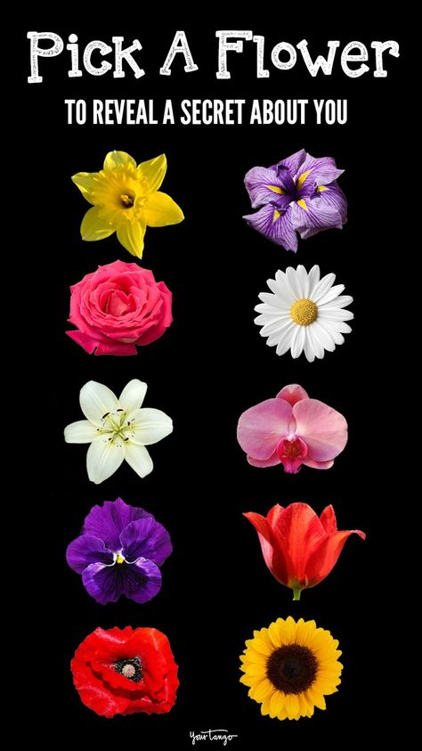 Personality Type Quiz, Personality Tests, Personality Psychology, Flower Meanings, Daffodil Flower, Unusual Flowers, Personality Test, Personality Type, Personality Traits