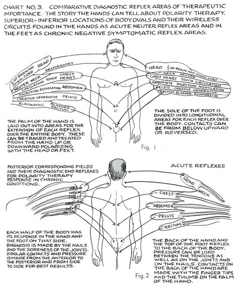 Polarity Therapy, Shiatsu Massage Acupressure, Energy Healing Reiki, Spirit Science, Energy Healing Spirituality, Shiatsu Massage, Energy Medicine, Alternative Healing, Body Energy