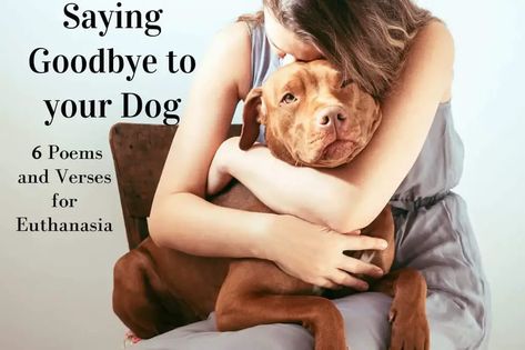 Saying Goodbye to your Dog 6 Poems and Verses for Euthanasia Goodbye Poem, Goodbye Message, Pet Poems, Pet Sitting Business, Miss My Dog, Goodbye Quotes, Dog Poems, Short Dog, Short Poems