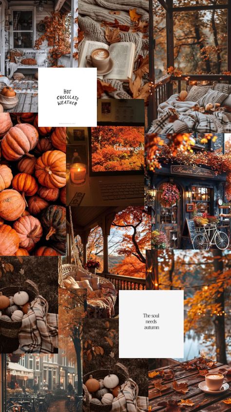 #autumn #fall #vibes #love #herbst #collage #besttime Fall Backrounds, Halloween Wallpaper Iphone, Autumn Phone Wallpaper, Halloween Wallpaper Iphone Backgrounds, Halloween Wallpaper Cute, Thanksgiving Wallpaper, Halloween Traditions, Fall Background, Cellphone Wallpaper Backgrounds