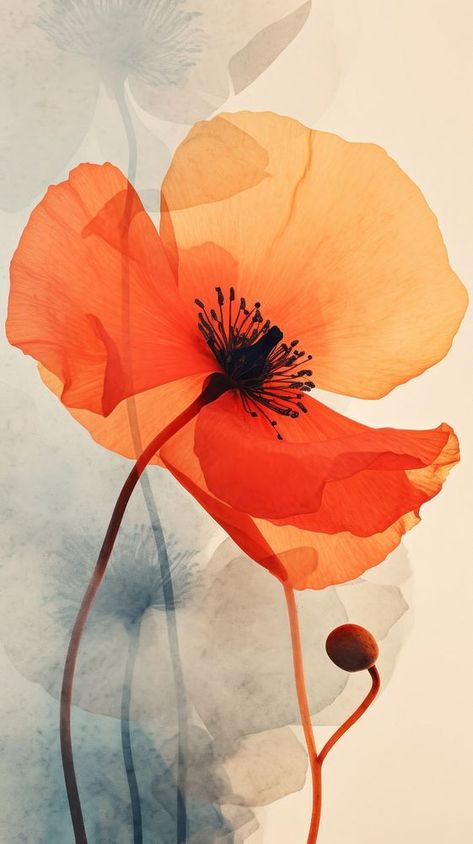 Poppy flower petal plant inflorescence. | free image by rawpixel.com Poppy Petals, Orange Flower Wallpaper, Poppy Flower Aesthetic, Poppy Flower Aesthetic Wallpaper, Orange Poppies, Poppy Screensaver, Poppy Flower Background, Poppy Abstract, Orange Poppy Painting