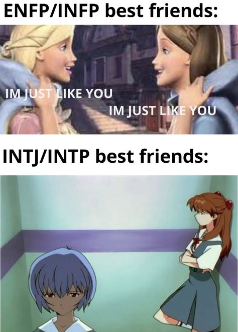 Enfp Infp, Mbti Charts, Mbti Test, Intp Personality Type, Enfp Personality, Intp T, Enfp T, Intp Personality, Intj Intp