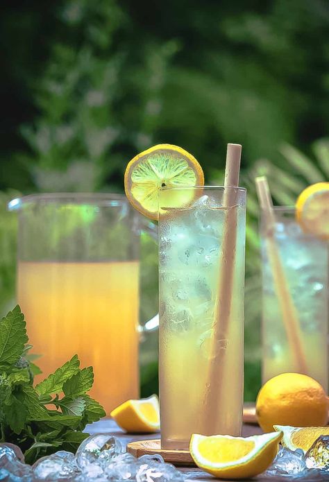 Lemon Balm Lemonade Recipe, Lemon Balm Cocktails, Lemon Balm Lemonade, Recipe For Lemonade, Growing Lemon Balm, Lemon Balm Recipes, Lemon Balm Plant, Grow Lemon, How To Grow Lemon