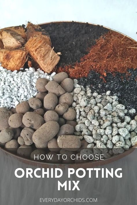 Orchid Potting, Orchid Soil, Diy Orchids, Orchid Potting Mix, Orchid Terrarium, Repotting Orchids, Orchid Fertilizer, Orchid Plant Care, Orchid Roots