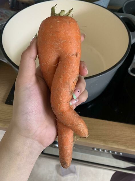 This Carrot I Got At Tesco Looks Like A Sassy Pair Of Legs Ice Cream Drop, Viral Nails, Yukon Potatoes, Spotlight Stories, Like A Cat, Good Jokes, Hollywood Celebrities, Celebrity Outfits, Shakira