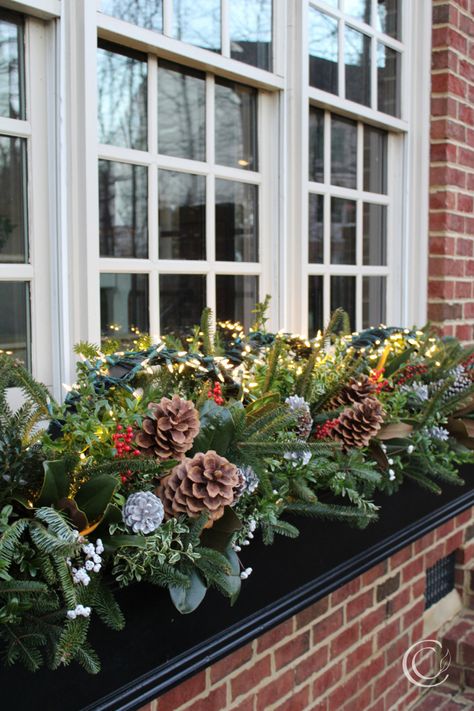 Christmas Outdoor Flower Boxes, Winter Window Boxes Ideas, Holiday Window Box Ideas, Winter Flower Boxes Front Porches, Outdoor Christmas Window Boxes, Fall Winter Window Boxes, Outside Christmas Window Decorations, Winter Flower Boxes Window, Christmas Flower Boxes Outdoor