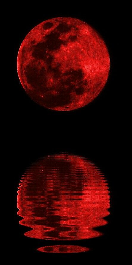 Blood moon over water Strawberry Moon Wallpaper, Blood Moon Aesthetic, Blood Moon Tattoo, Red Moon Painting, Red Moon Aesthetic, Blood Moon Wallpaper, Red Moon Wallpaper, Vampire Moon, Blood And Water