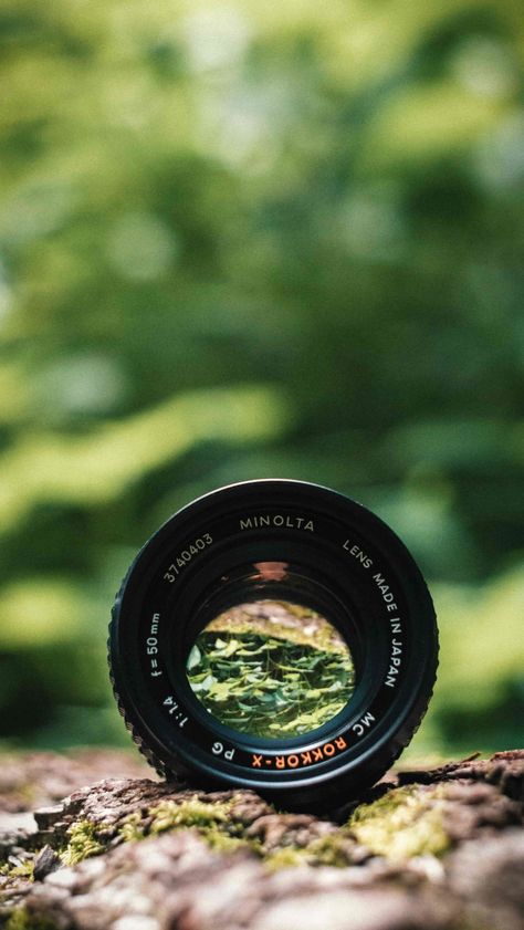 Aperture Depth Of Field, Depth Of Field Photography, Selective Focus Photography, Deep Depth Of Field, Foto Macro, Aperture Photography, Photography Assignments, Dslr Photography Tips, Wild Art