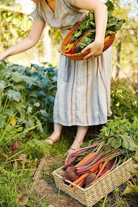 Female Farmer, Garden Photography, Veggie Garden, Farm Gardens, Edible Garden, Kitchen Garden, The Grass, Permaculture, Dream Garden