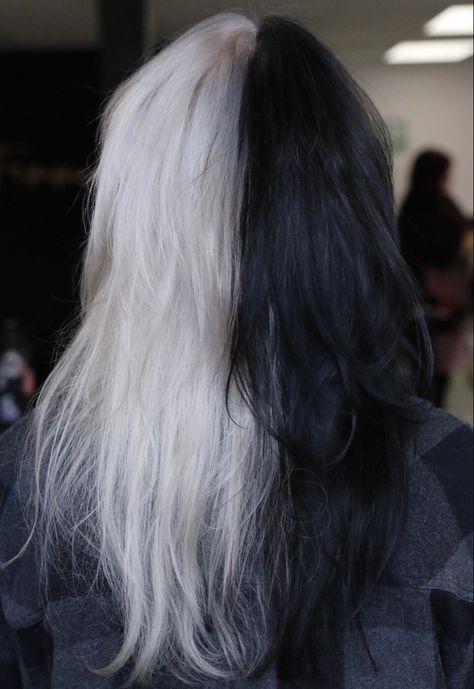 Split Dye White And Black, Black And White Split Dye Hair, Black White Split Hair, Half Black Half Grey Hair, Half Gray Half Black Hair, Half Black Half Silver Hair, Split Hair Dye Black And White, Half White And Black Hair, Half Grey Half Black Hair