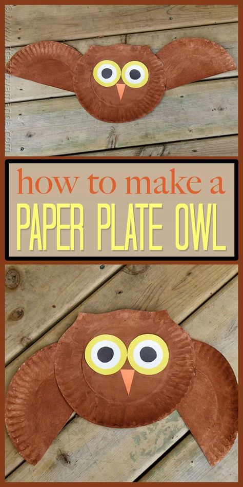 Owl Craft, Owl Paper, Paper Plate Craft, Thanksgiving Crafts Preschool, November Crafts, Paper Plate Crafts For Kids, Thanksgiving Crafts For Kids, Owl Crafts, Daycare Crafts