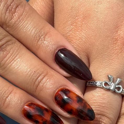 aubrey taylor ☆ licensed nail tech on Instagram: "simple tortoise shell set ✨" Nail Tech, Tortoise Shell, Stylish Nails, Tortoise, Shells, Nail Art, Nails, Makeup, Hair