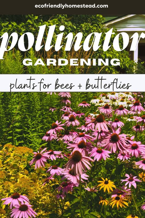 pollinator gardening for bees Pollinator Garden Design, Pnw Garden, Easy Indoor Plants, Pollinator Plants, Eco Friendly Garden, Attracting Beneficial Insects, Hummingbird Garden, Bee Garden, Garden Guide