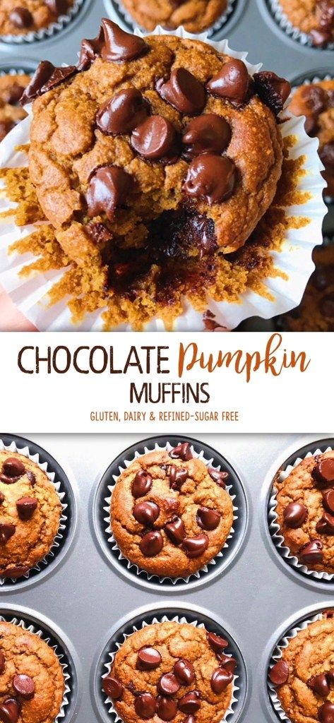 Chocolate Chip Pumpkin Muffins, Easy Pumpkin Muffins, Chocolate Pumpkin Muffins, Muffins Pumpkin, Pumpkin Muffins Easy, Pumpkin Chocolate Chip Muffins, Lunchbox Treats, Dairy Free Chocolate Chips, Chocolate Pumpkin