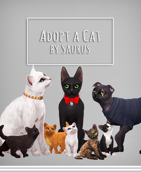 Sims 4 Pets Mod, Sims 4 Cc Patreon, Mods Sims 4, Sims Pets, Cc Patreon, Sims 4 Game Mods, Tumblr Sims 4, Sims 4 Characters, Sims 4 Cc Furniture