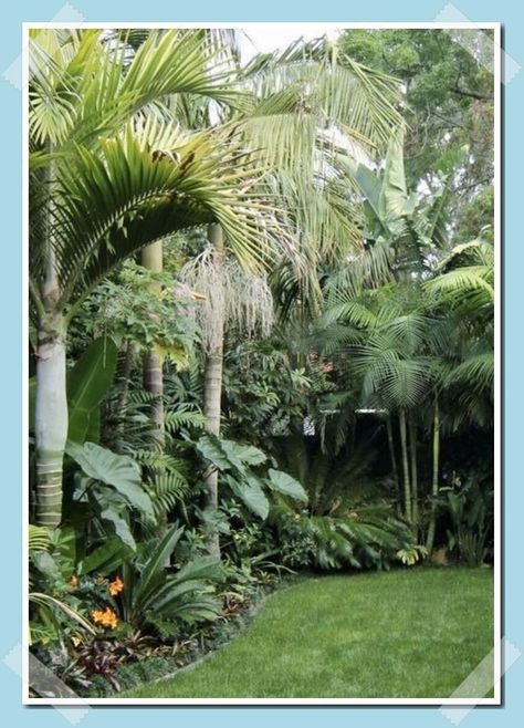 Botanical Landscape Design, Tropical Seating Area, Florida Landscaping Ideas Front Yards Curb Appeal, Tropical Pool Landscaping Ideas, Florida Backyard Landscaping, Jungle Yard, Small Tropical Backyard, Tropical Landscaping Front Yard, Jungle Backyard