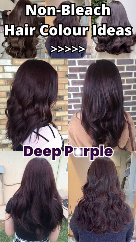 Deep purple Non Bleach Hair Color, Deep Purple Hair, Bleach Hair Color, Bleach Hair, Bleached Hair, Hair Color Ideas, Purple Hair, Deep Purple, Body Jewelry