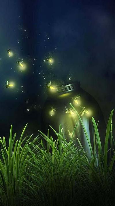 Fireflies Live Wallpaper For Android - Free Download 6A2 Lighting Bugs, Sleep Tight, Firefly, 그림 그리기, Beautiful World, Night Sky, Night Skies, Mason Jar, In The Dark