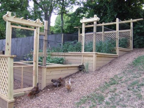 Chicken Coop Hillside, Hill Gardening, Sloped Backyard Landscaping, Landscaping On A Hill, Vegetable Garden Planner, Building Raised Garden Beds, Hillside Garden, Vegetable Garden Raised Beds, Sloped Backyard